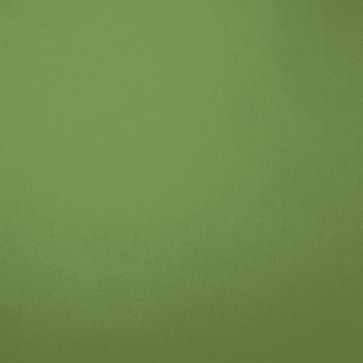 Habitat Matilda Scallop Bookcase - Green – image 2