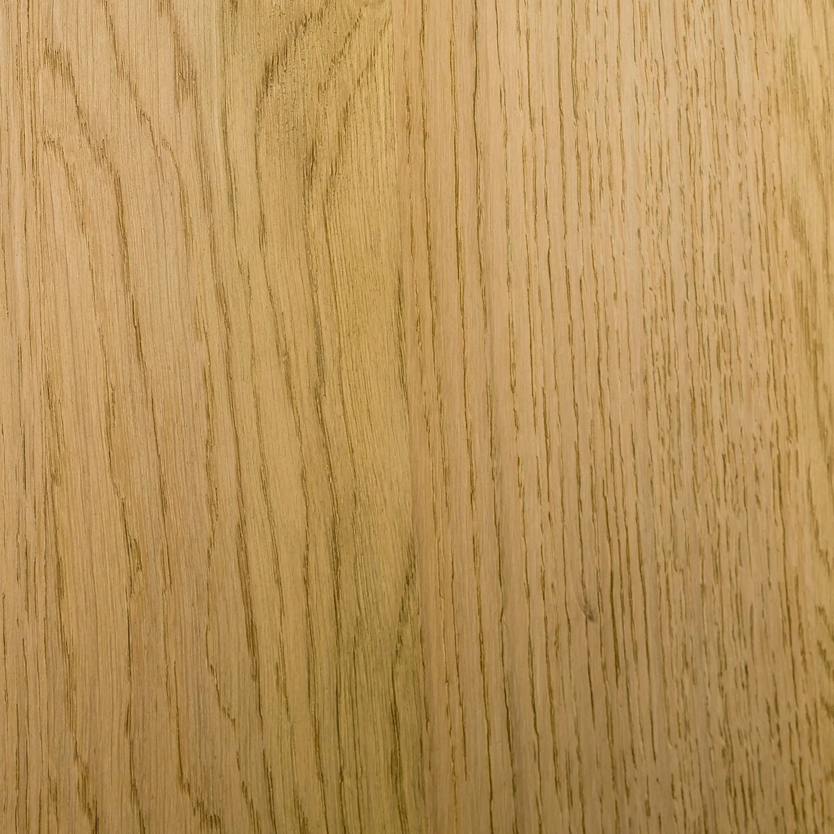 Aria Bookcase in Oak and Ash Veneer – image 5