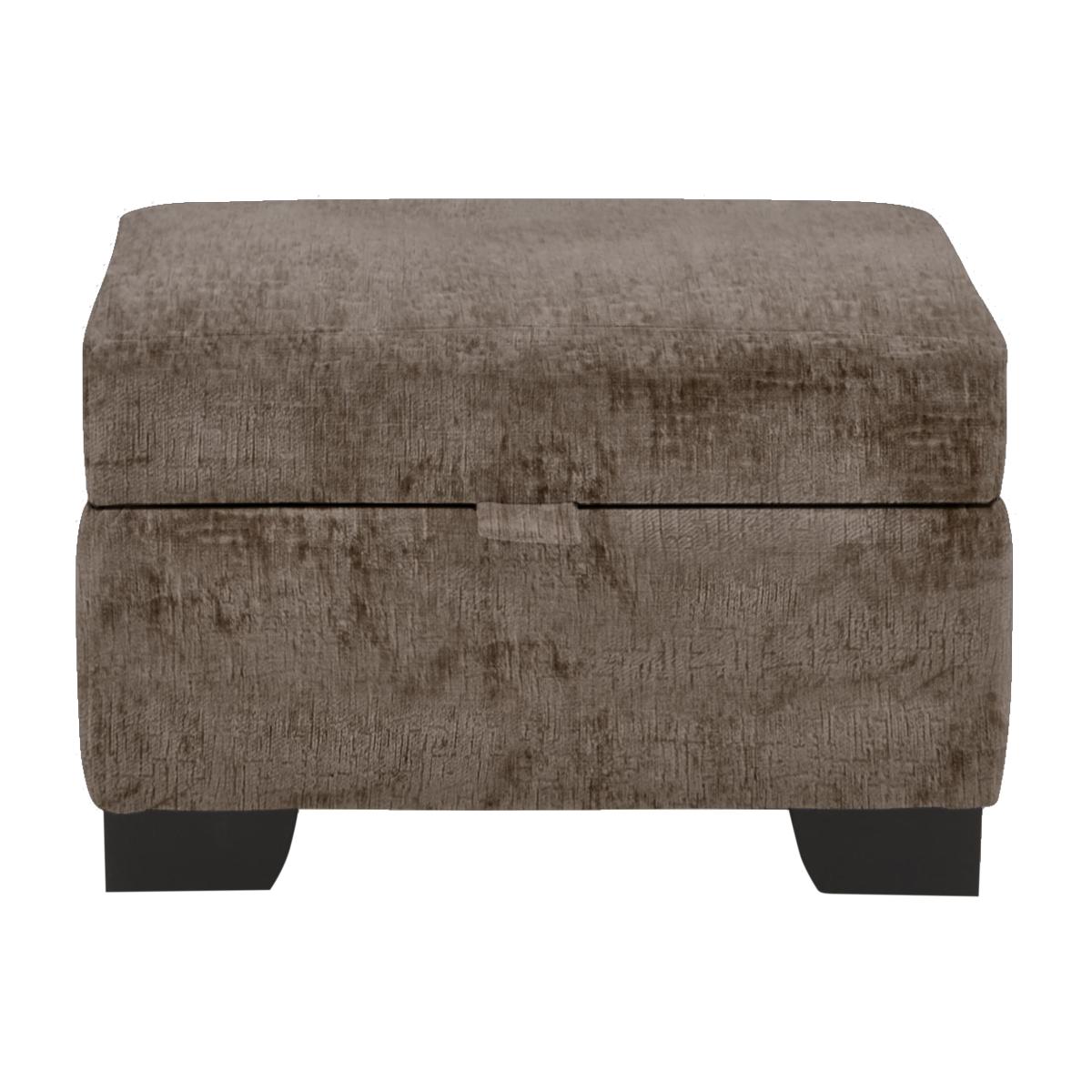Boutique Lavish Storage Footstool - Alexandra Coco – image 1