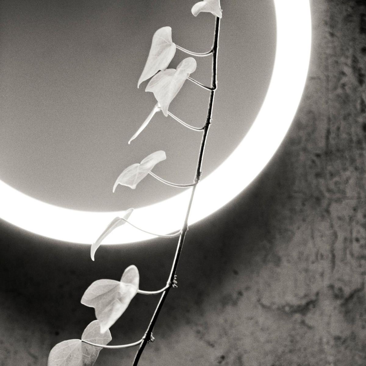 Amigo Led Wall Lamp – image 5