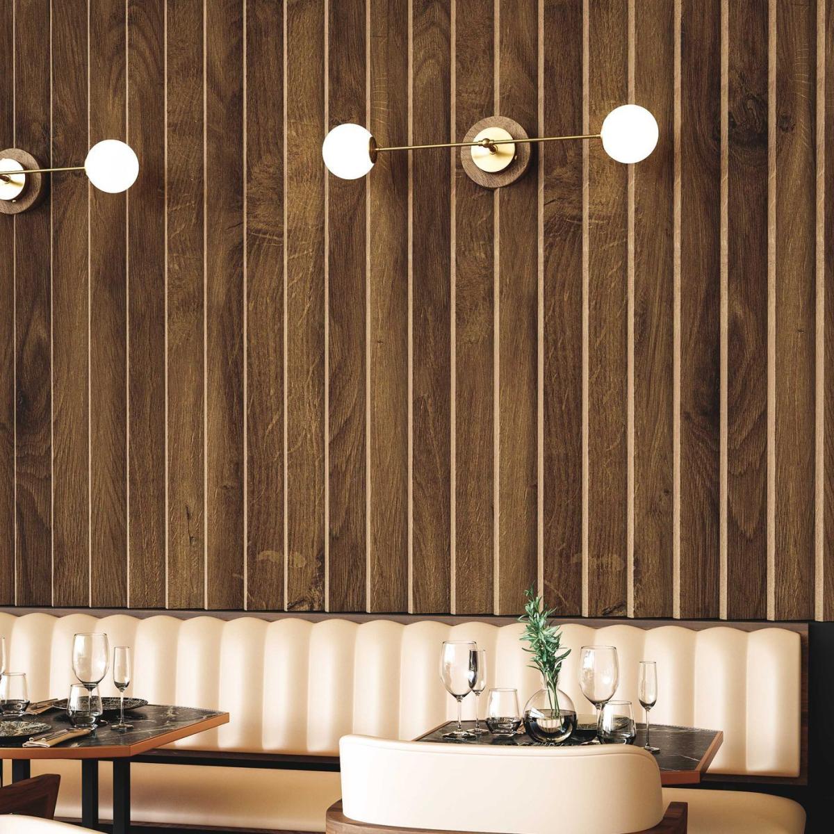 Janus L – image 2