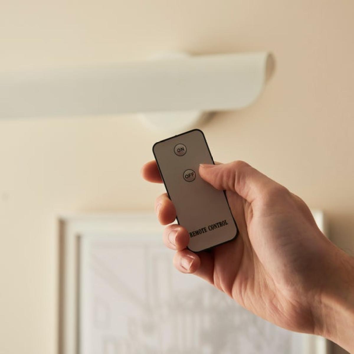Elements Whitmore LED Picture Light – image 4