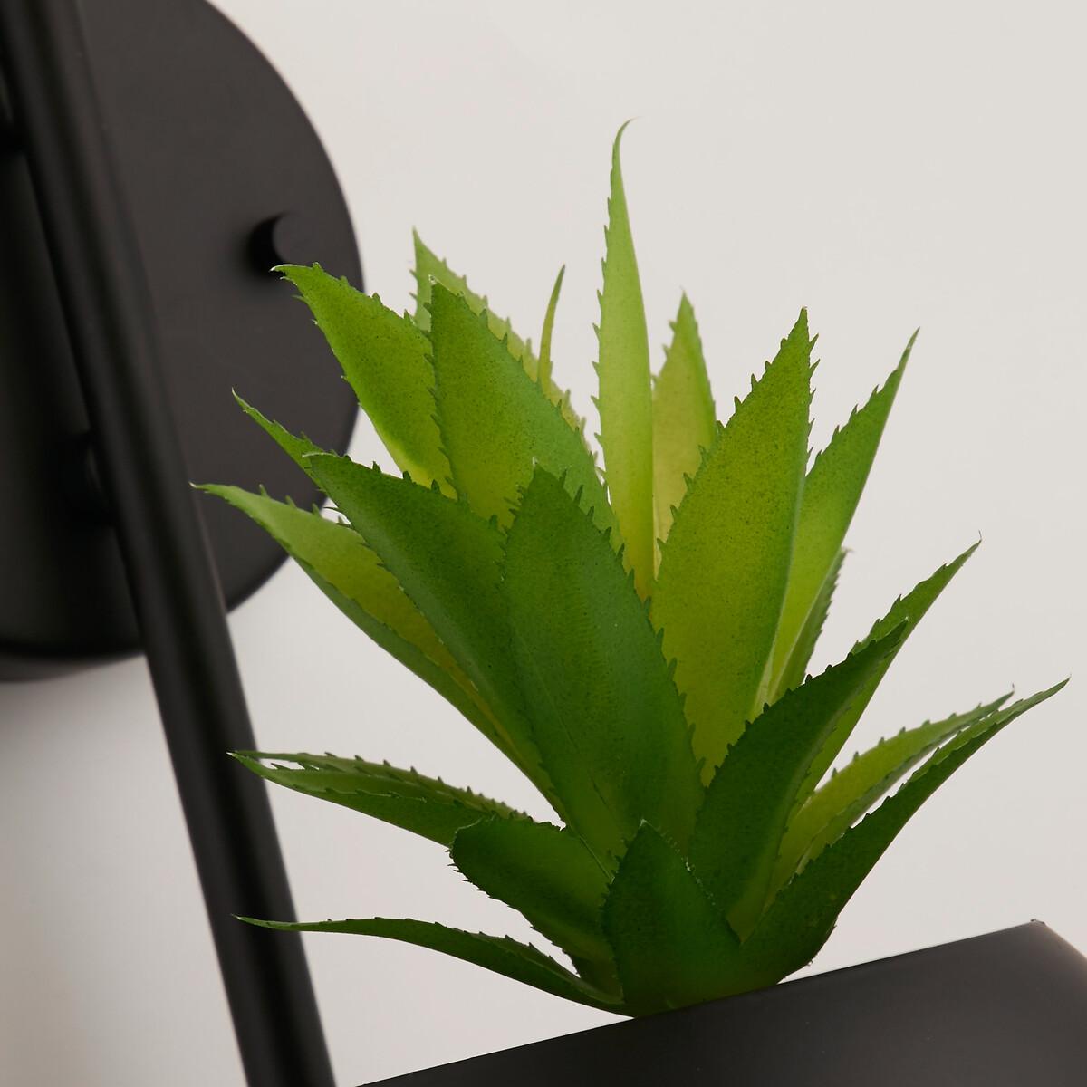Pluto Orb and Plant Wall Light – image 3