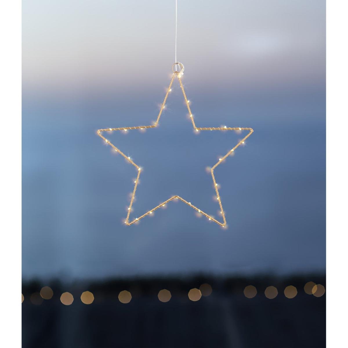 Liva Star Gold / Medium – image 5