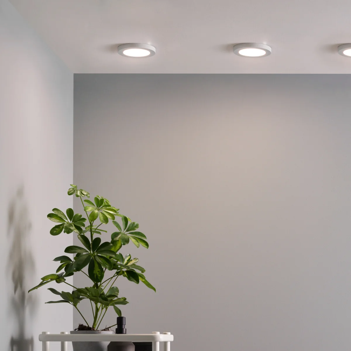 Darly LED 12 Watt Flush Ceiling or Wall Light - White – image 5