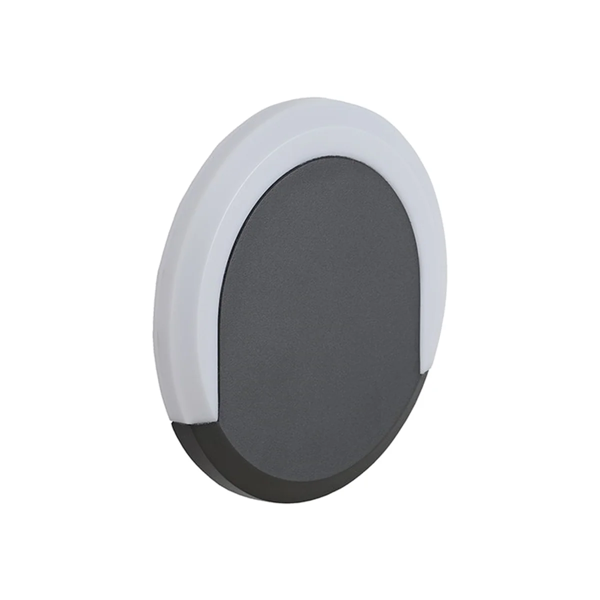 Biard Crescent Halo LED Large Circular Outdoor Wall Light - Black – image 1