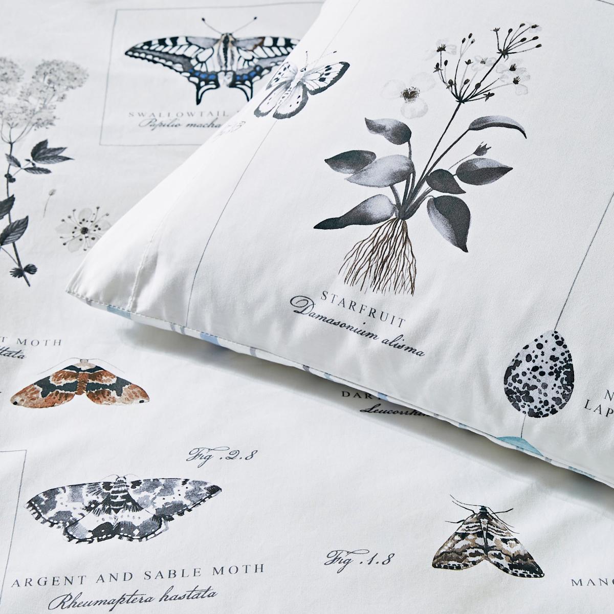 Nature's Journal 100% Cotton Duvet Cover and Pillowcase Set Blue – image 5