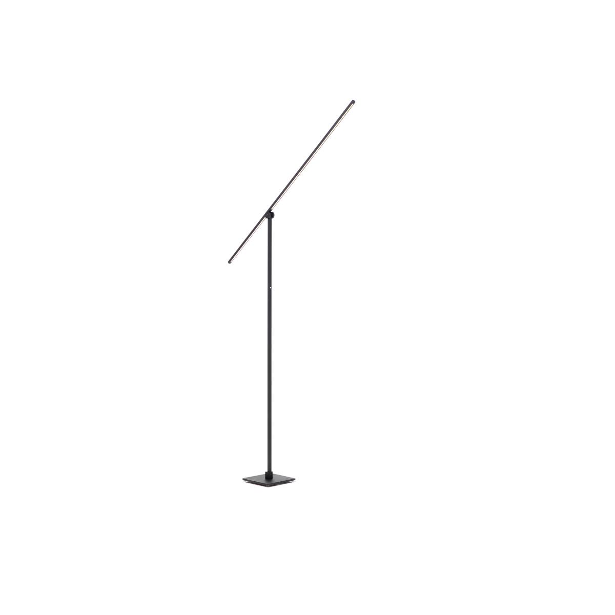 Axis Floor Lamp in Black