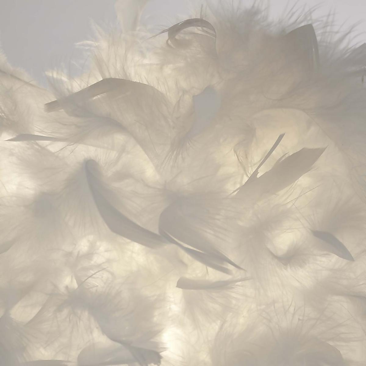 Hattie Feather Floor Lamp - White – image 3