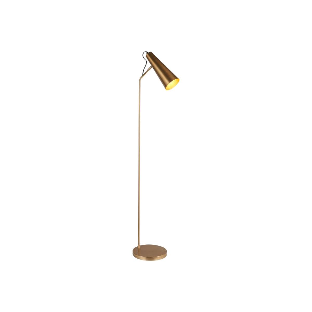 Delungra 1 Light Floor Lamp - Antique Brass