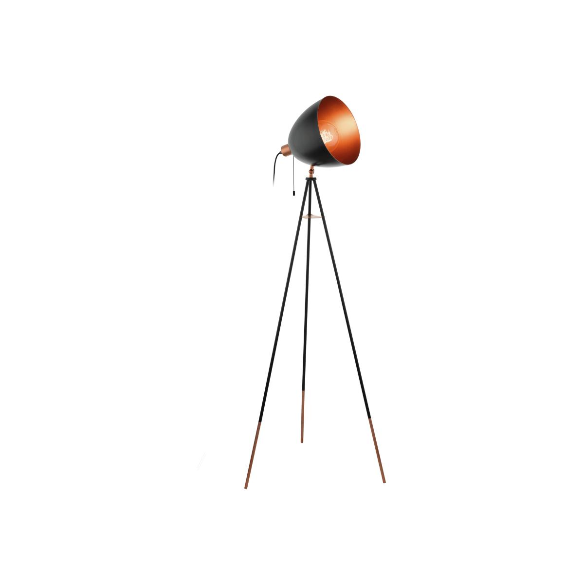Eglo Chester Floor Lamp Black