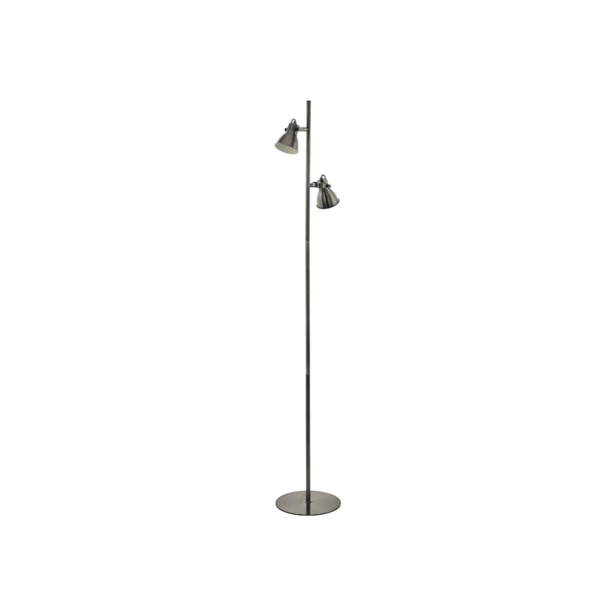 Taschin 2 Light Antique Nickel Floor Lamp