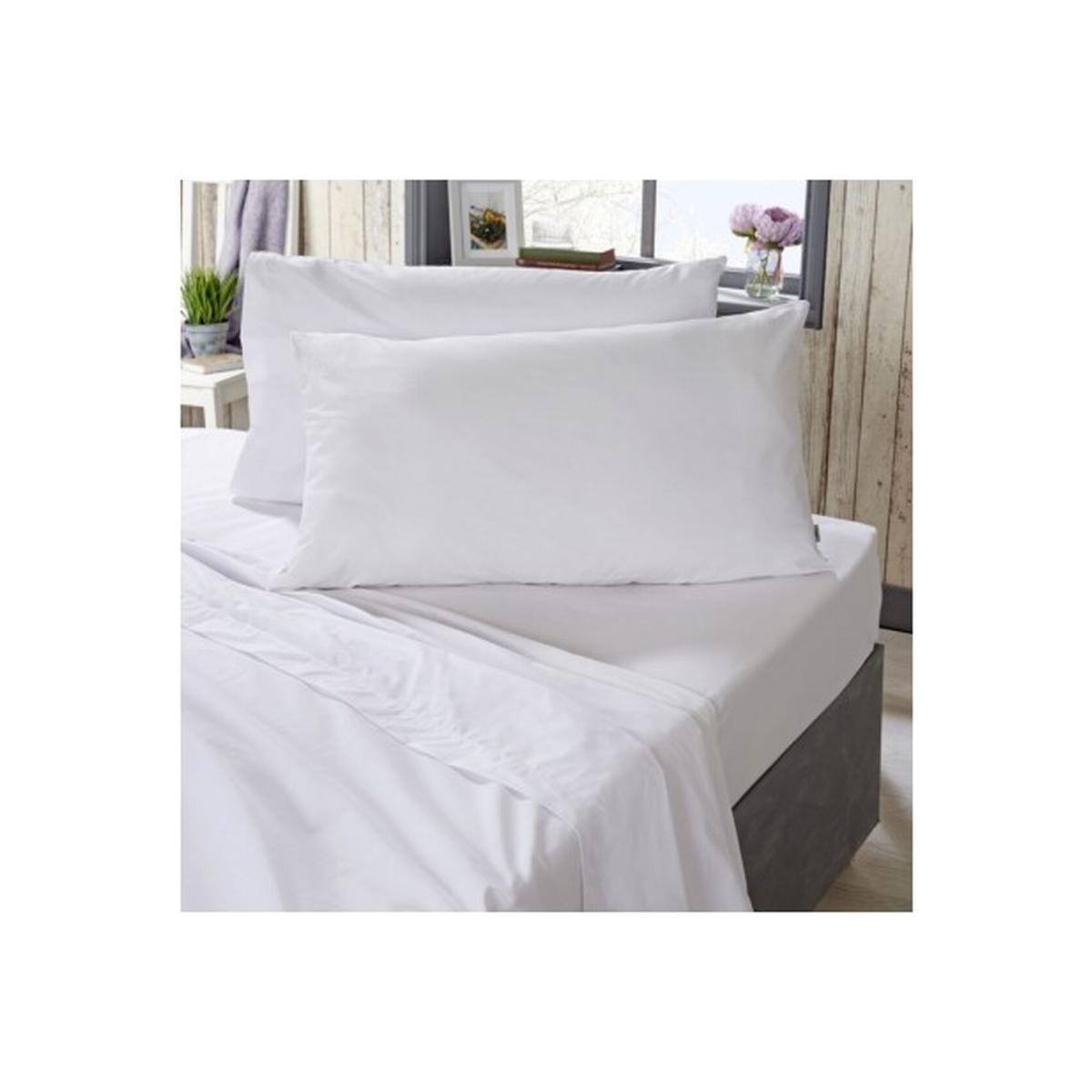 Cotton Plain Dyed Fitted Sheet - White / Superking