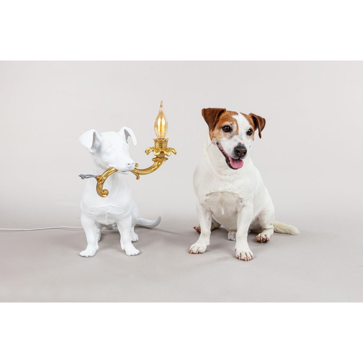 Rio Lamp Table lamp - / Resin by Seletti White/Gold – image 13