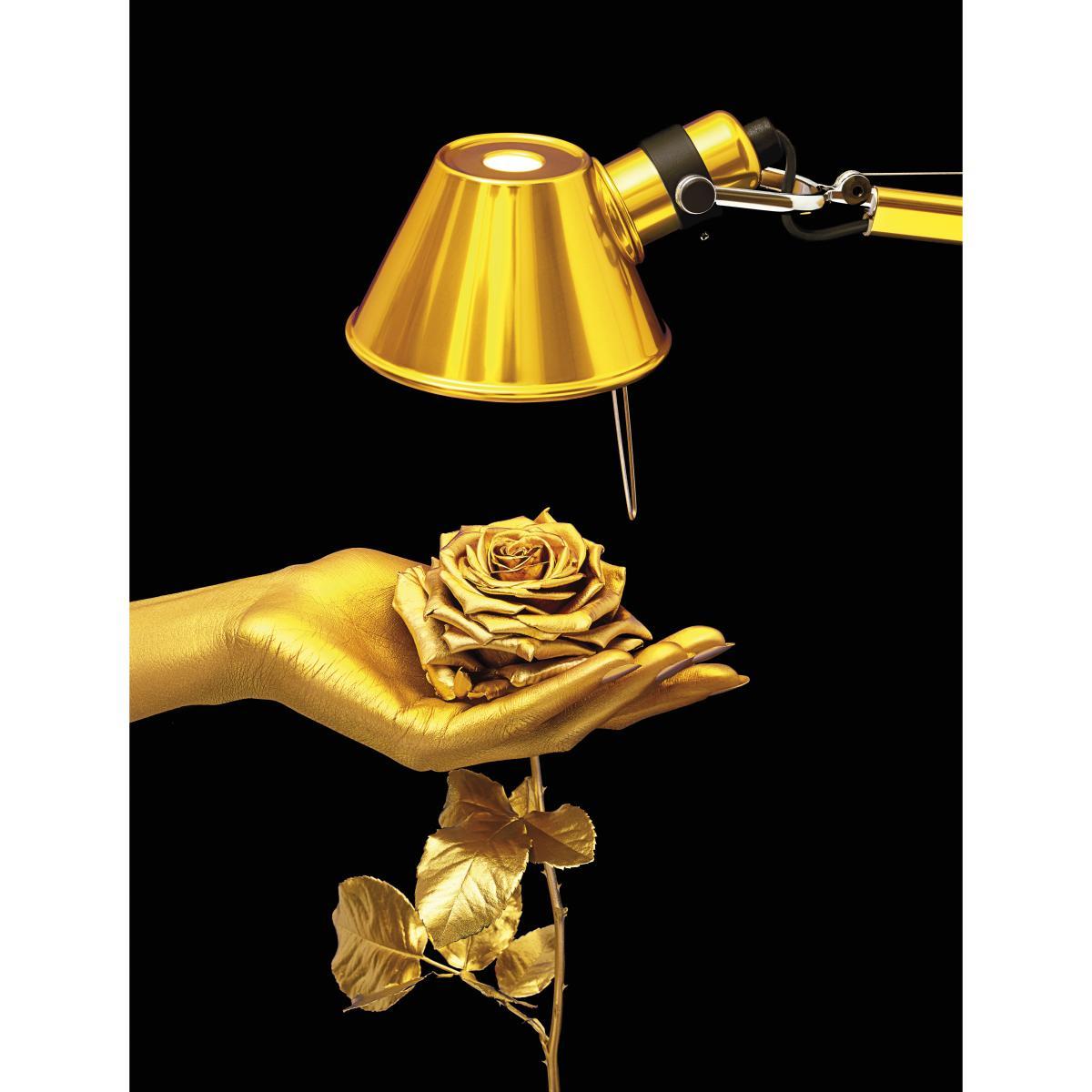 Tolomeo Micro Gold Table lamp - / LED - Limited issue by Artemide Gold/Metal – image 3