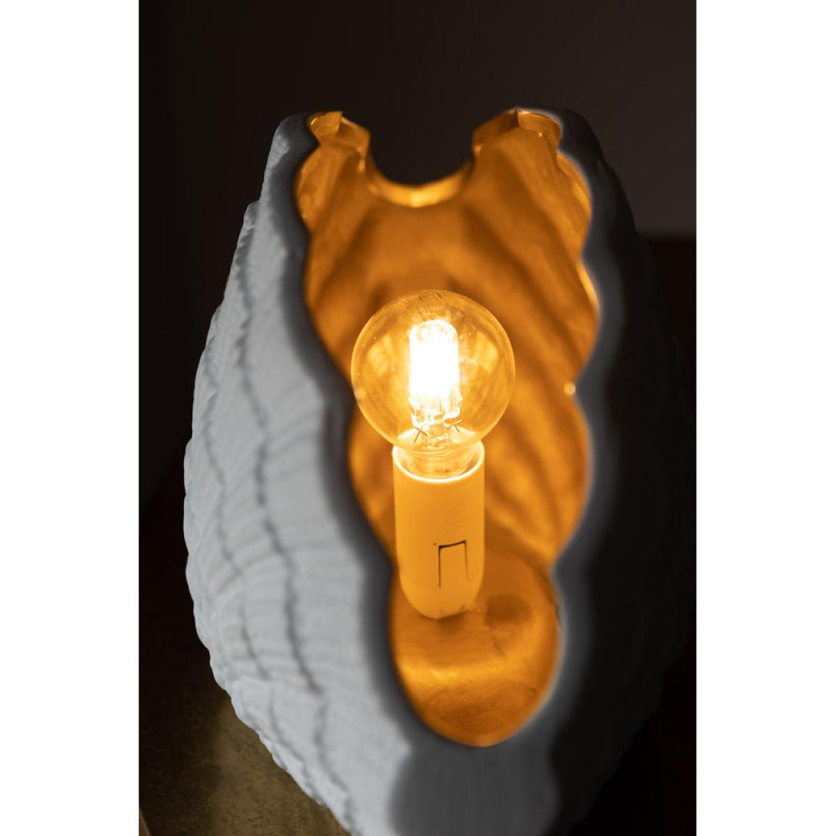 Clam Gold Shell Table Lamp – image 7