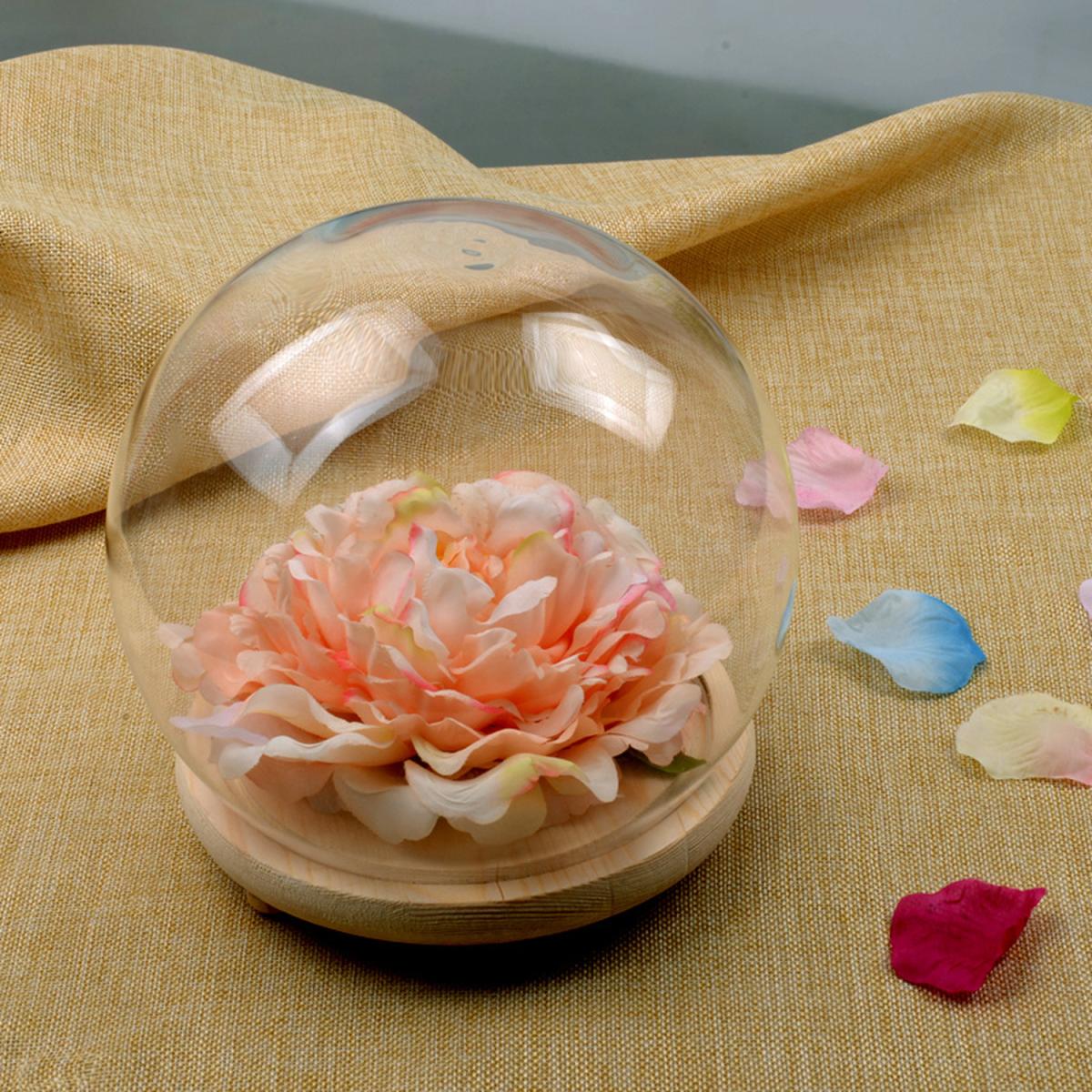 Glass Dome Cover Wood Base Gift without LED Light - White / 8.5cm / 12cm – image 4