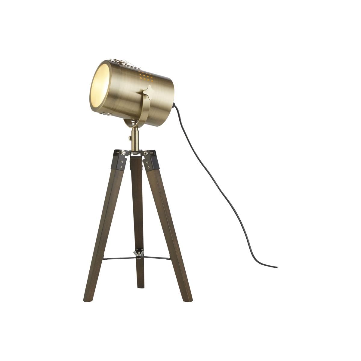 Finn Bronze Spotlight Table Lamp - Bronze