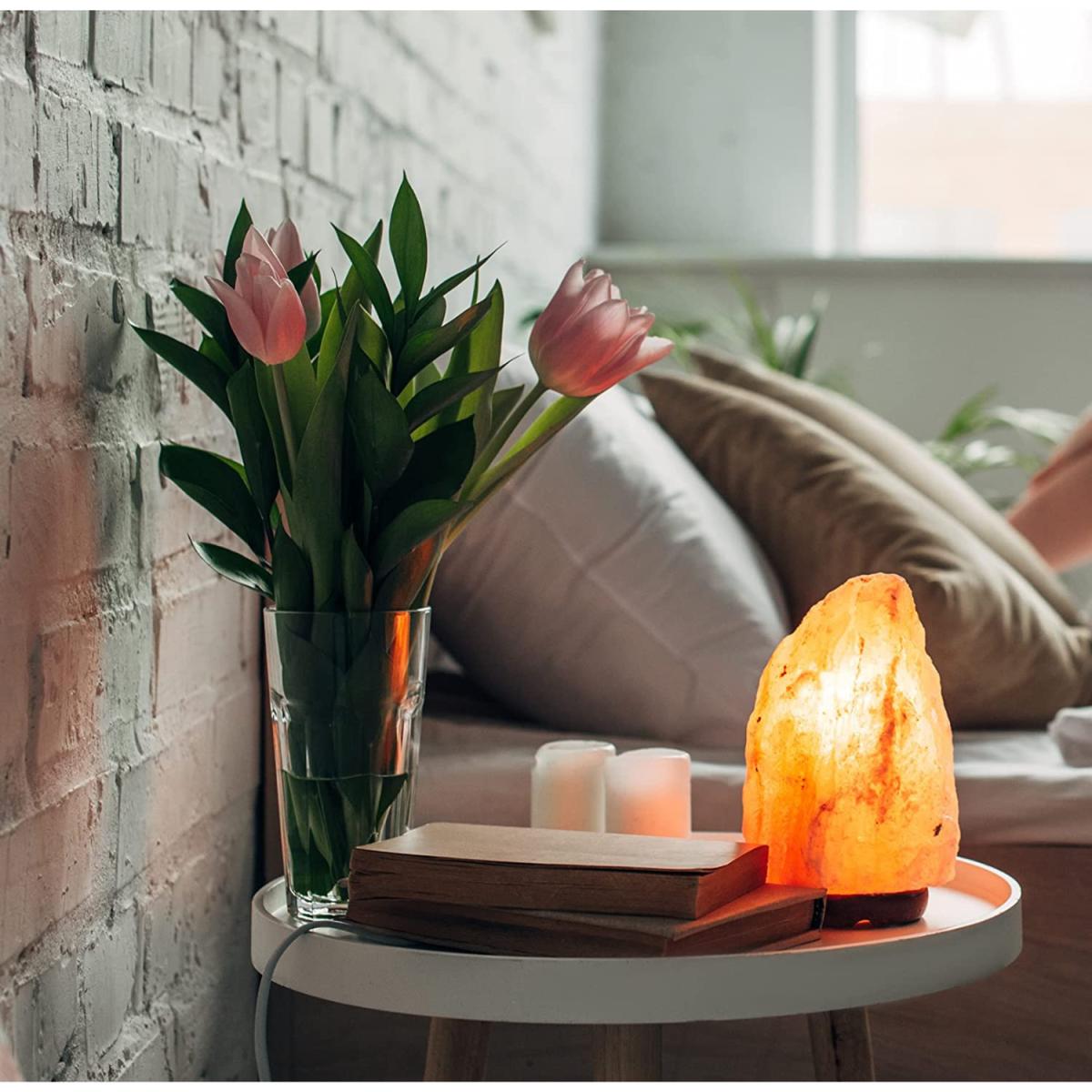 Himalayan Salt Lamp Pink with Dimmer Cable - Pink / 18cm – image 11