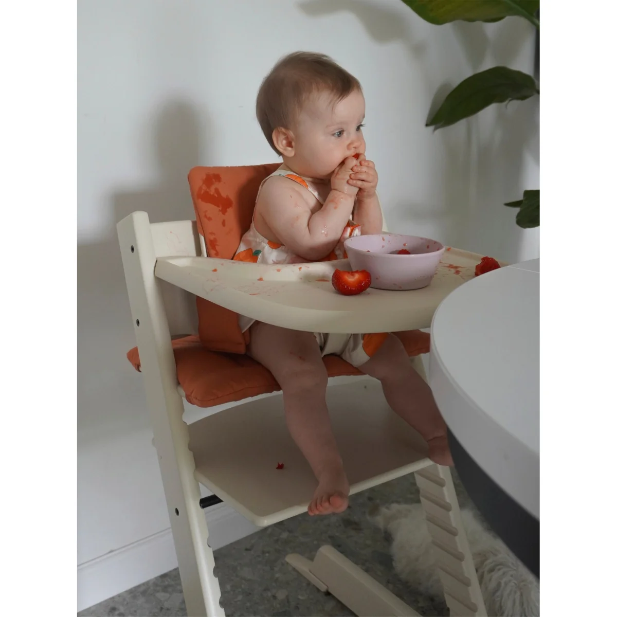 Tray for Kids High Chair Tripp Trapp – image 3