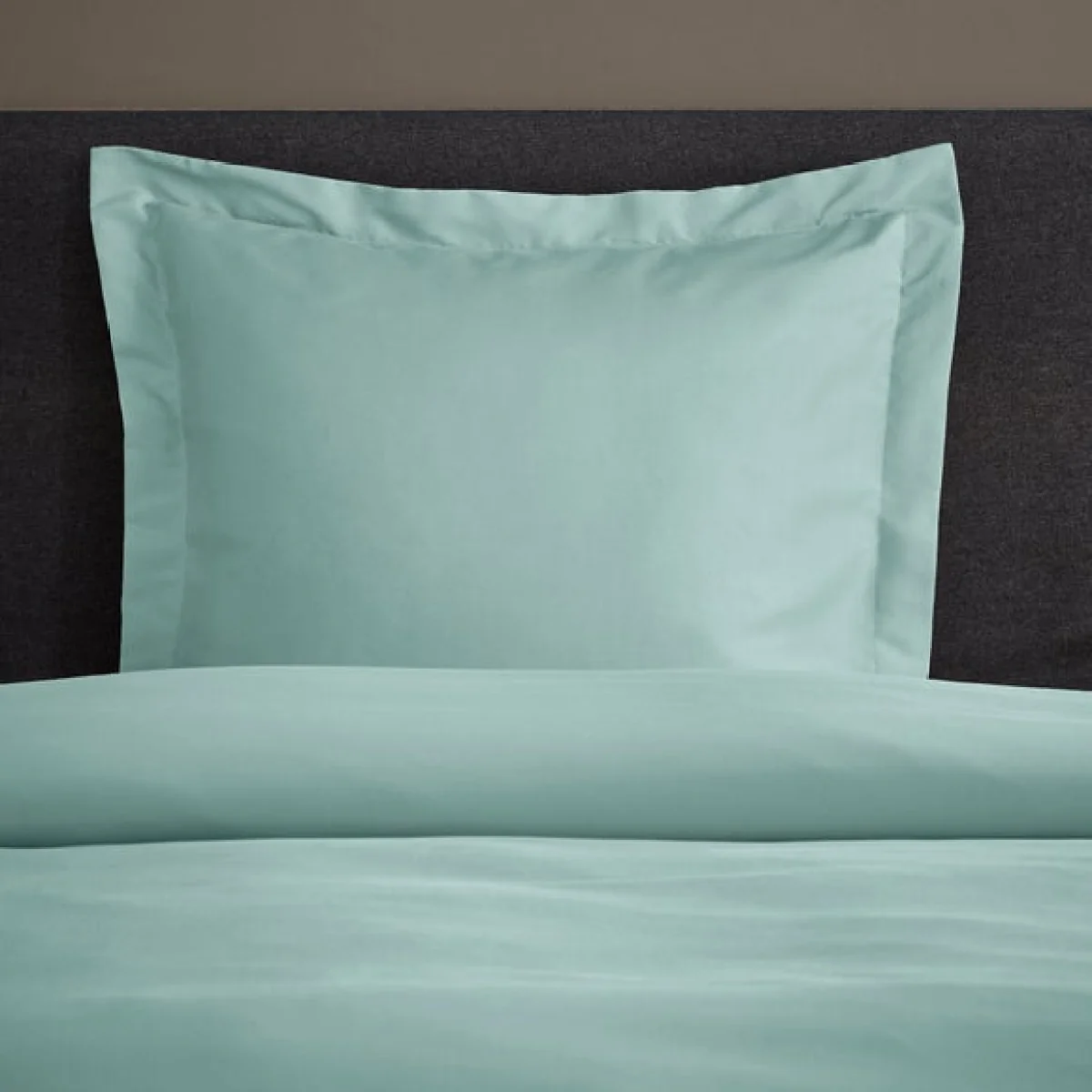Fogarty Soft Touch Continental Pillowcase Duck Egg (Blue) – image 1