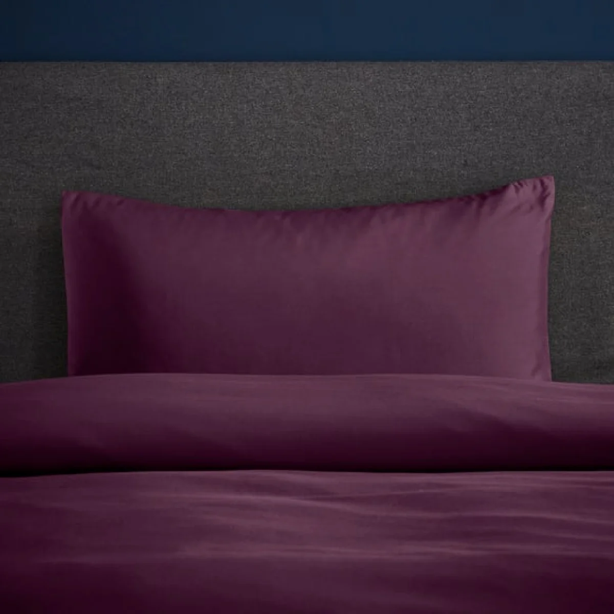 Fogarty Soft Touch Plum Standard Pillowcase Pair Plum Purple – image 1