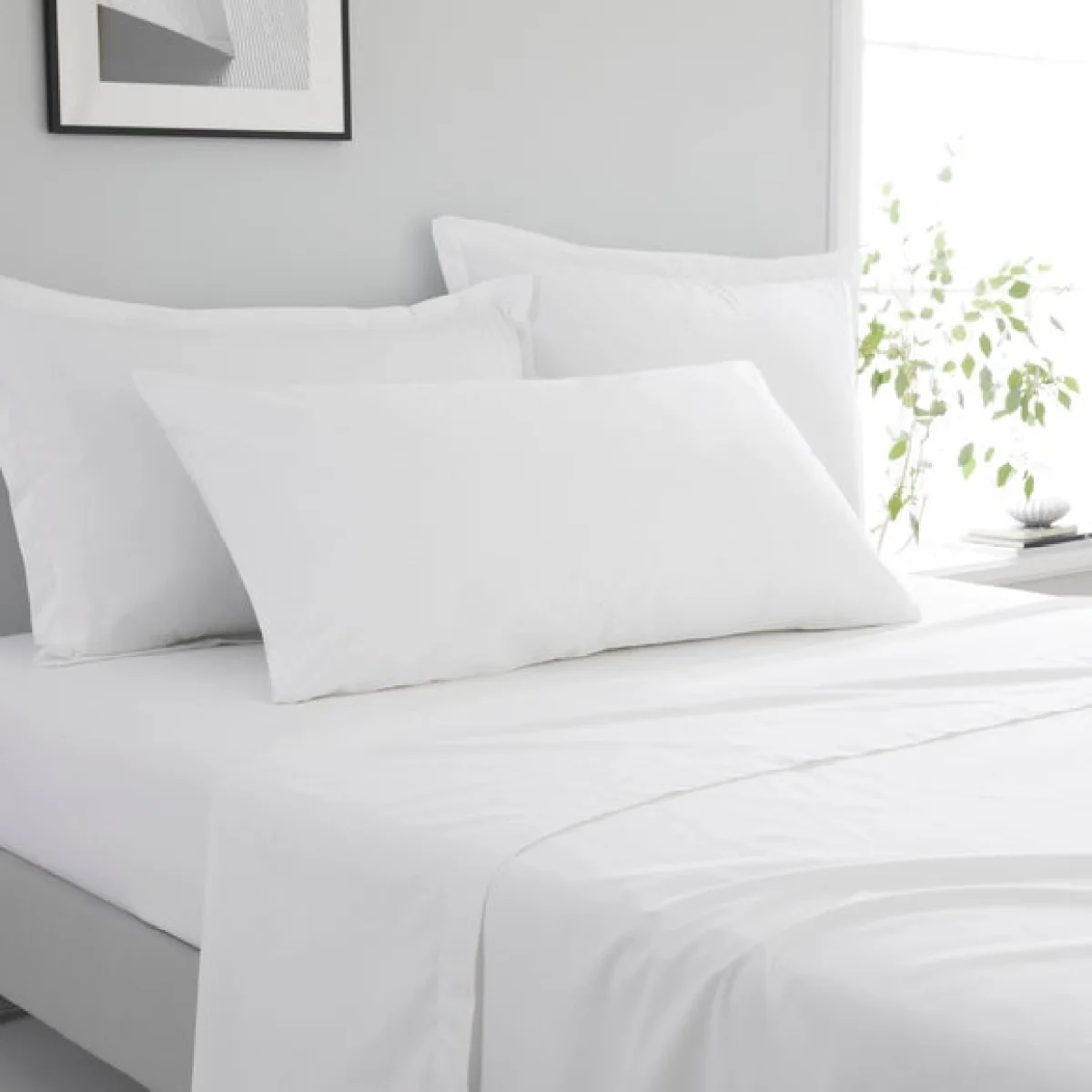 Pure Cotton Bolster Pillowcase White – image 1