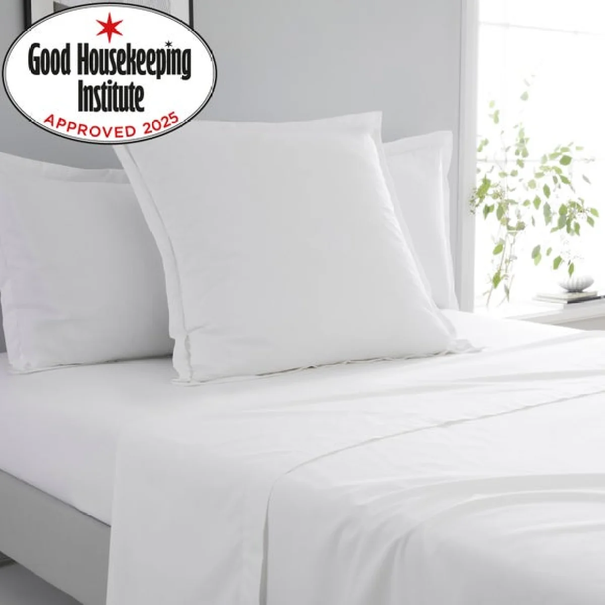 Pure Cotton Continental Square Pillowcase White – image 2