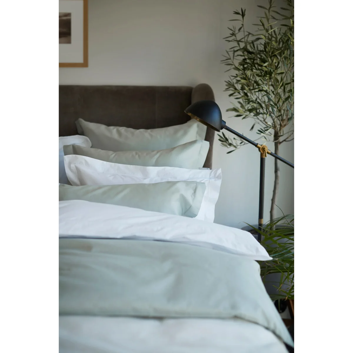 Hotel Cotton Sateen pillowcase 50x60 cm Sage green – image 3