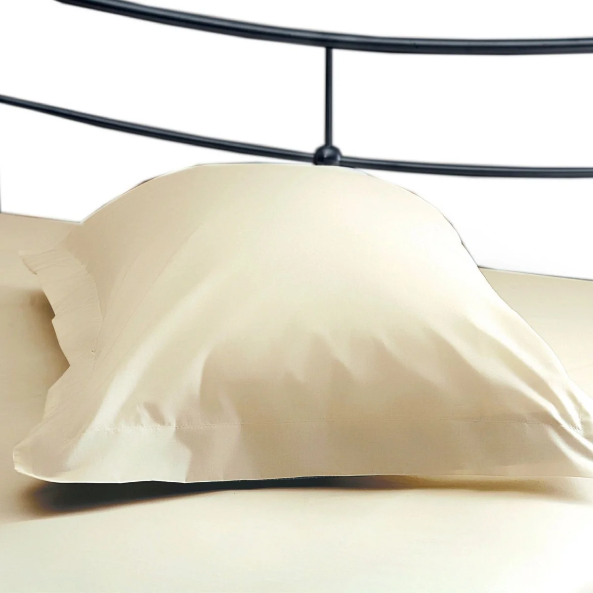 Belledorm Easycare Percale Oxford Pillowcase - Red – image 14