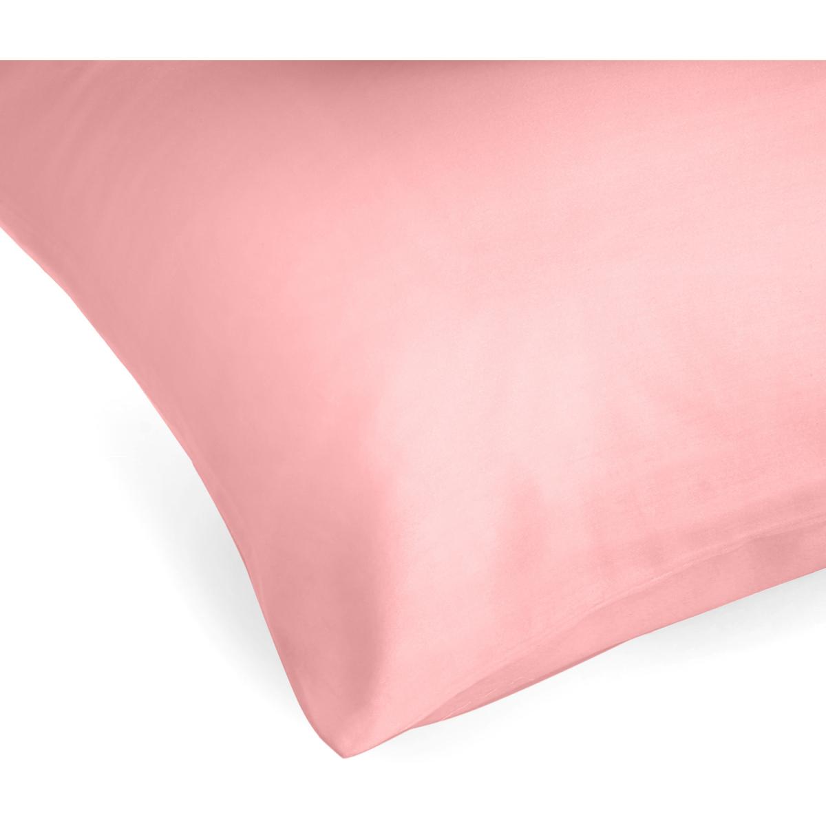 Silky Jersey Pure Cotton Pair Pillowcases  - Ecru – image 9