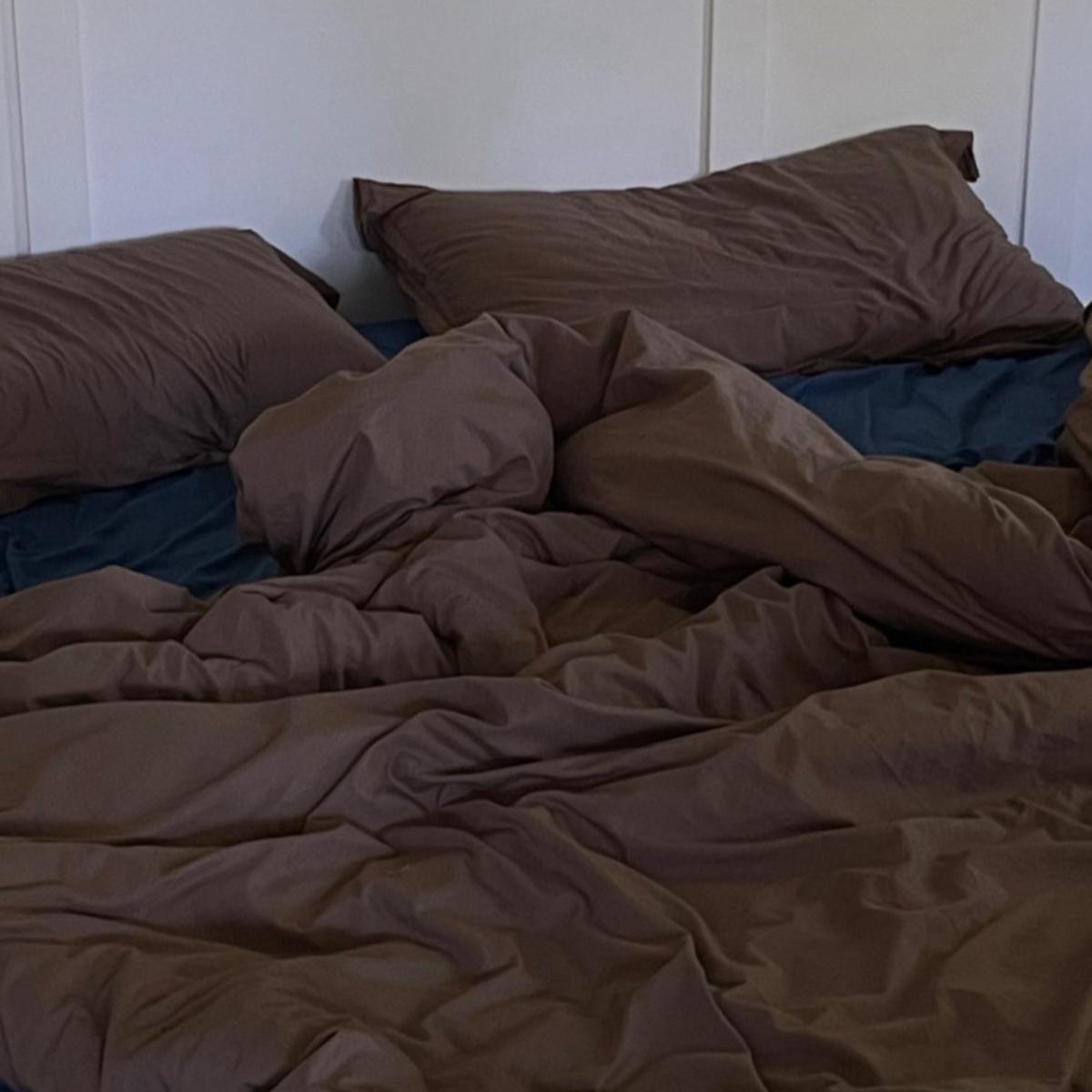 Brown Pillowcase Pair In Carob Us Queen Sutram – image 6