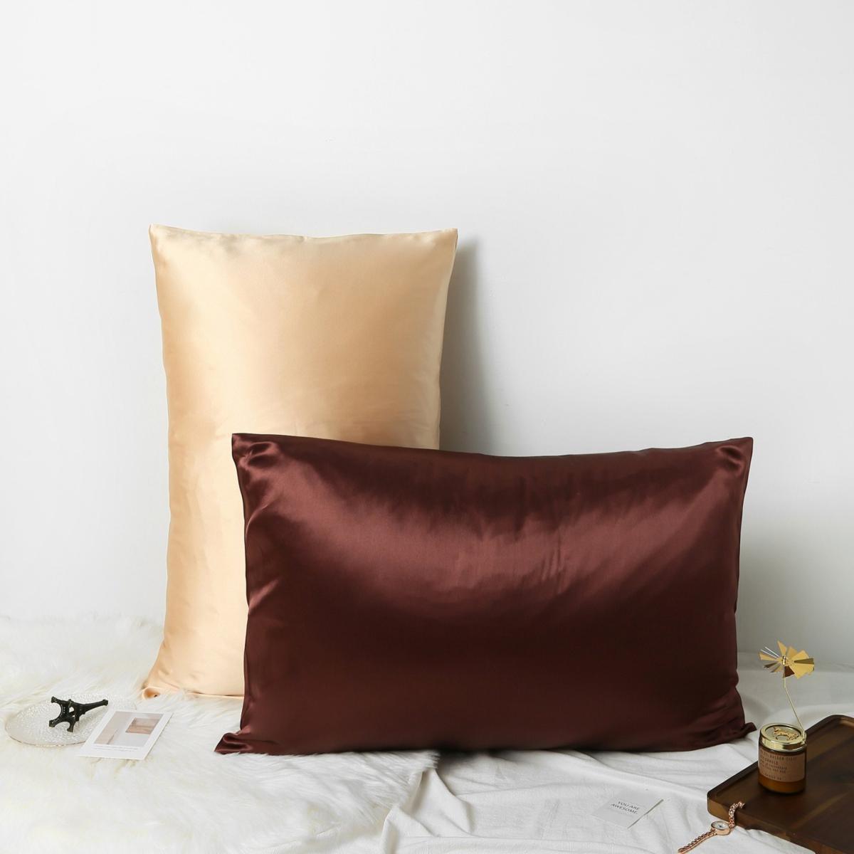 Luxury Pure Mulberry Silk Pillowcase Queen Size Drape Collection Neutrals In Champagne Us Queen Soft Strokes Silk – image 5