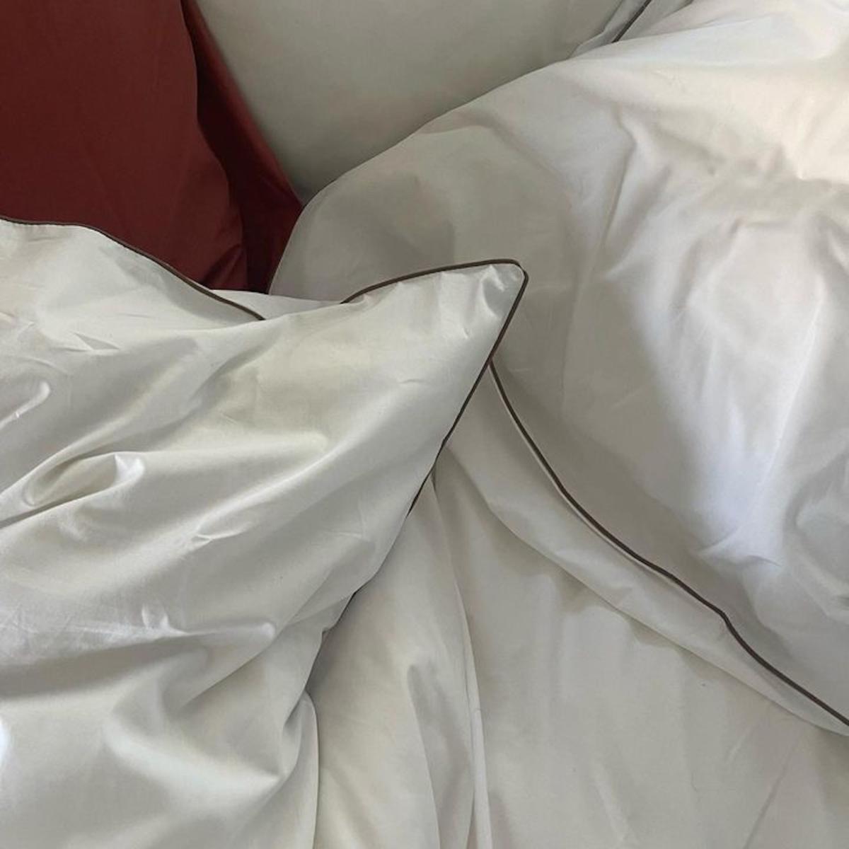 Neutrals / White / Brown Euro Pillowcase Pair In Contrast Edge, Prism With Carob Sutram – image 6