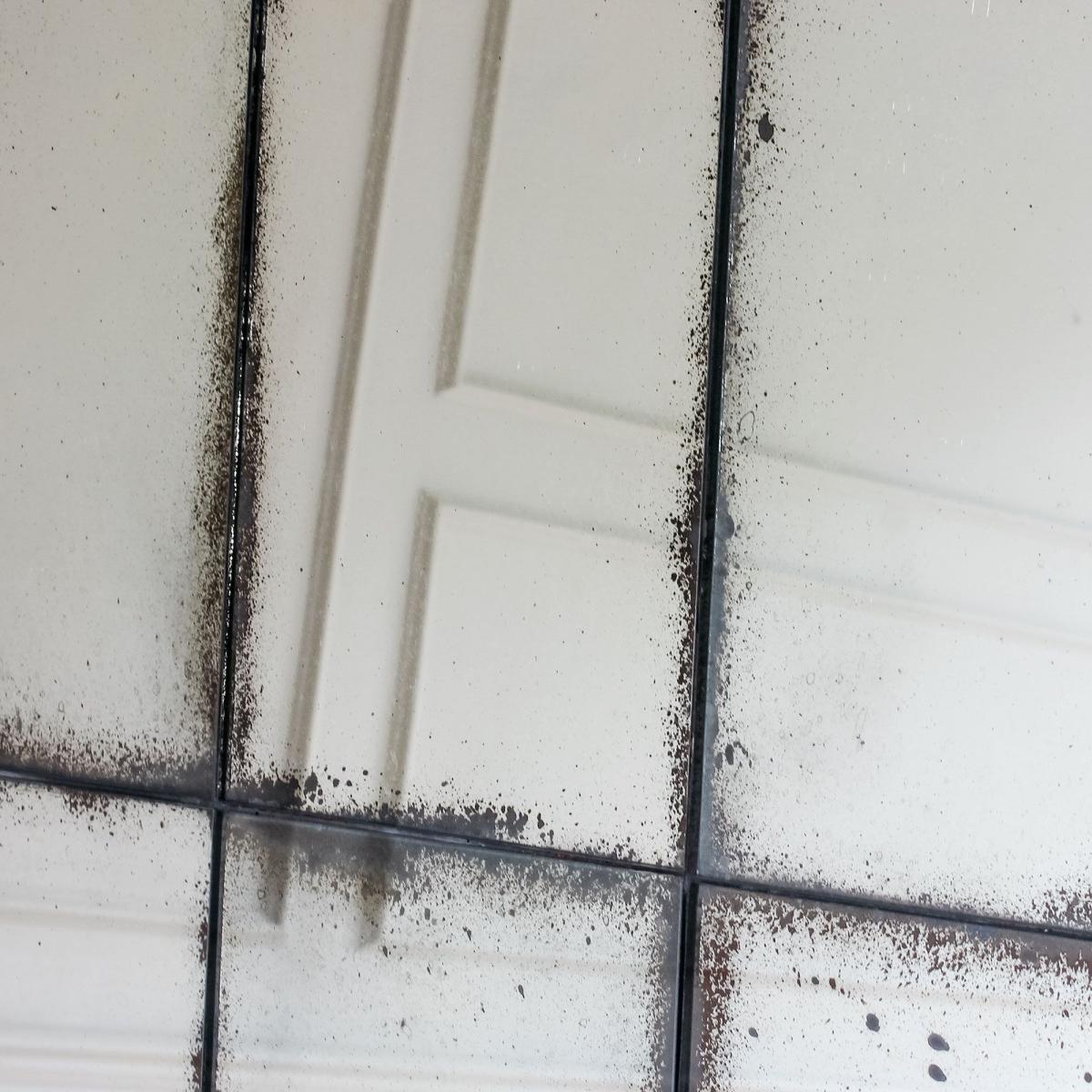 Black Antiqued Window Mirror – image 2