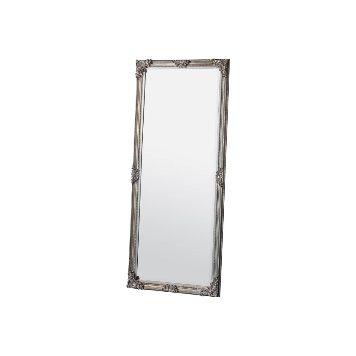 Halewood Extra Large Rectangle Leaner Mirror - Champagne – image 1
