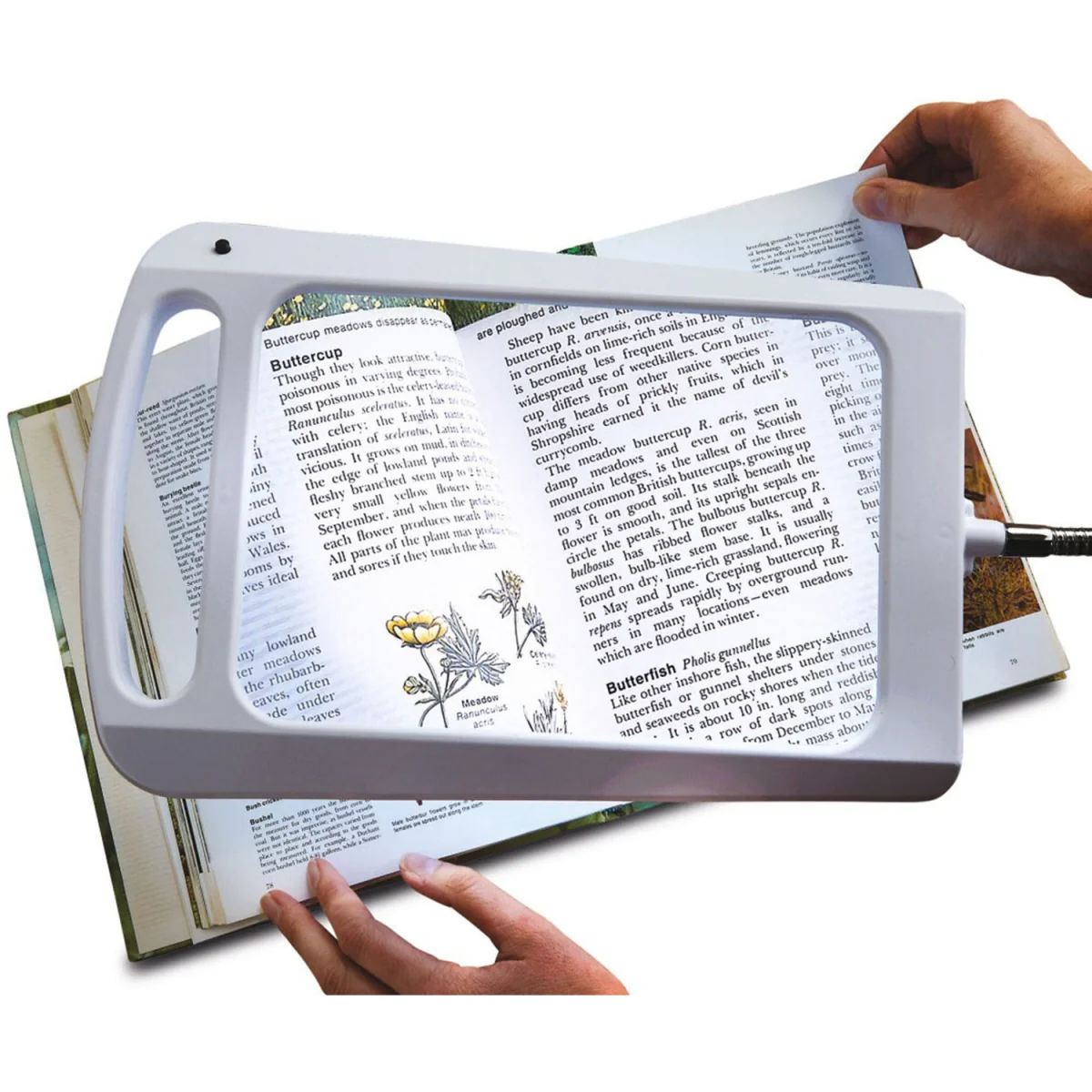 Magnifying Floor Lamp with LED Light - White, Silver – image 2