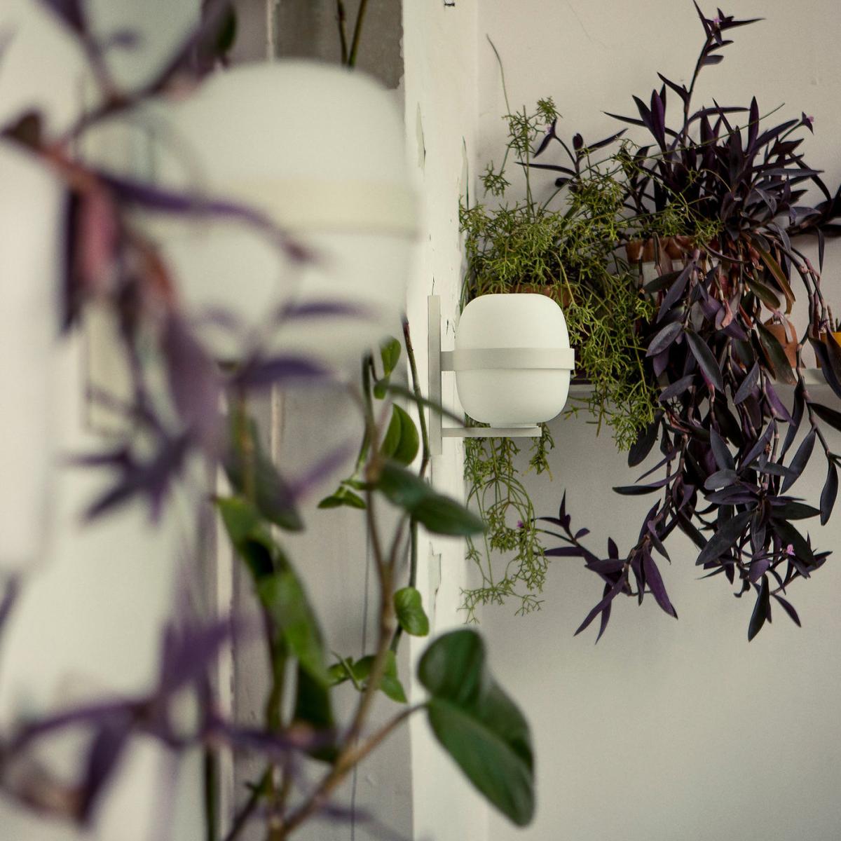 White Wally Wall Lamps – image 3