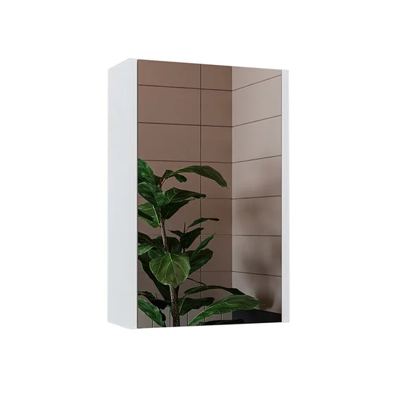 Mini Mirror Cabinet – image 6
