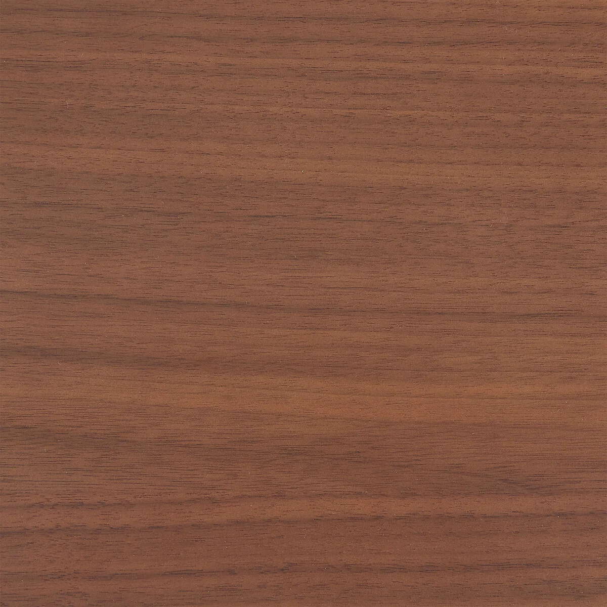 Archivita XL Walnut Veneer and Fabric 2-Drawer Cabinet, L110 X D42cm – image 4