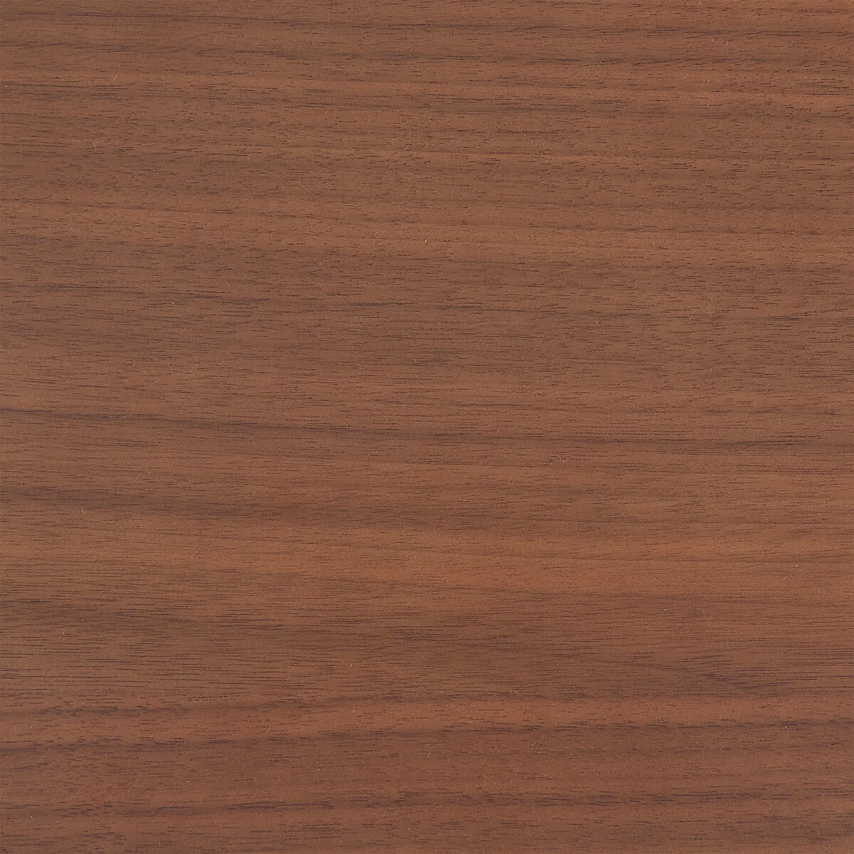 Archivita XL Walnut Veneer and Fabric 2-Drawer Cabinet, W60 X D42cm – image 8