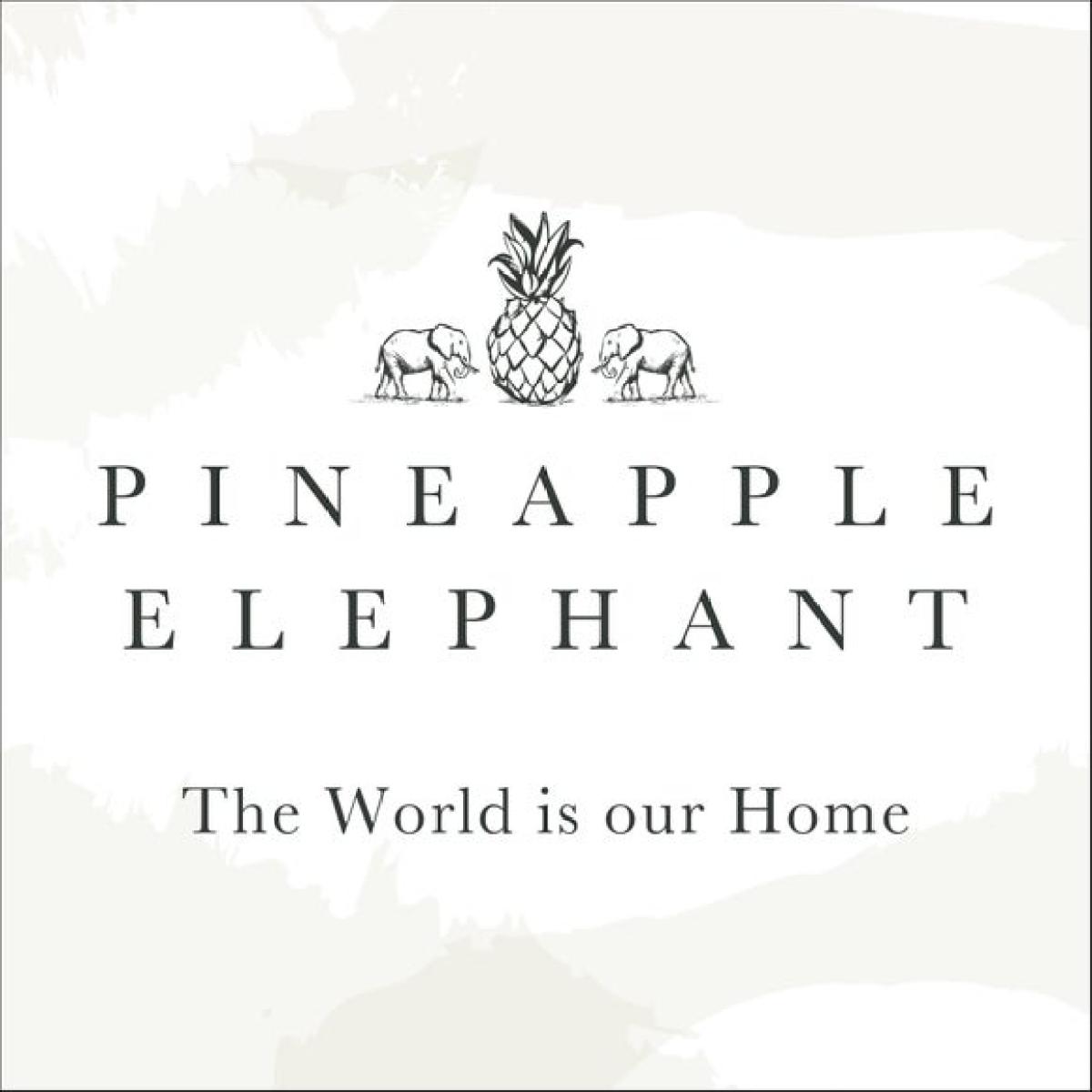 Pineapple Elephant Zofia Broderie Slot Top Voile – image 5