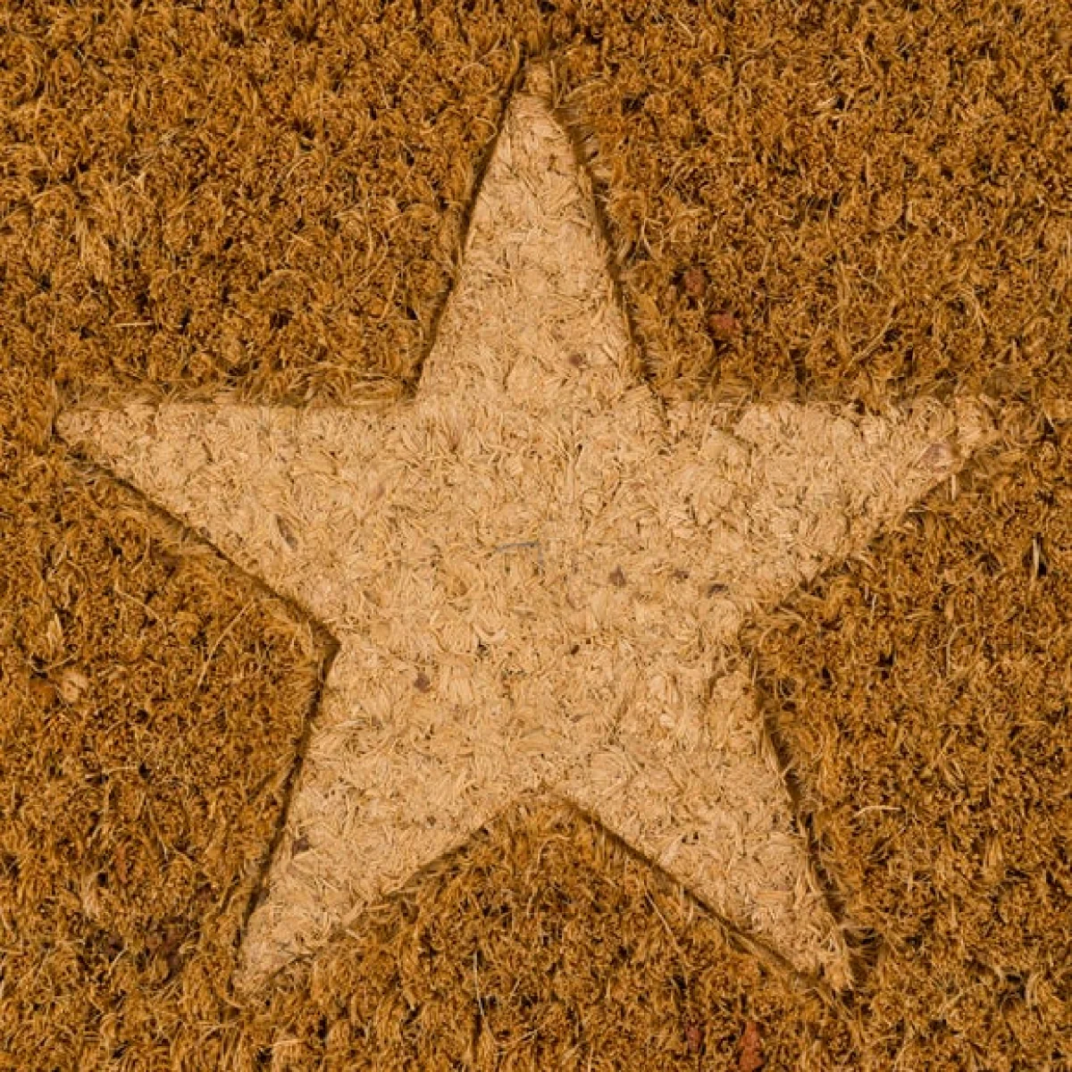 Cedar and Sage Triple Star Border Coir Doormat – image 2