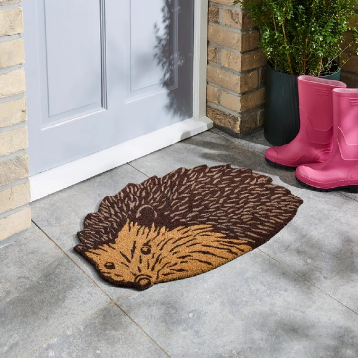 Hedgehog Coir Doormat – image 1