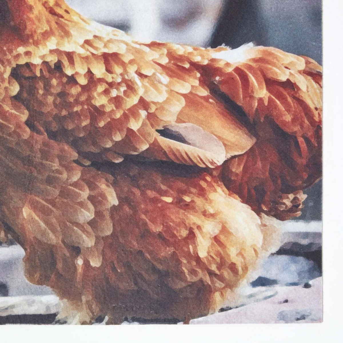 Recycled Rubber Printed Chickens Doormat - Multi – image 2