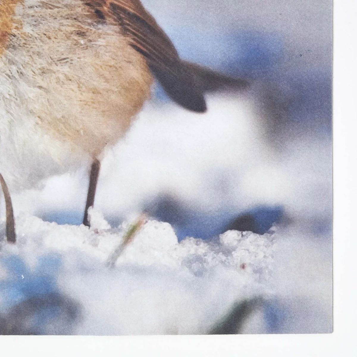Recycled Rubber Printed Winter Robin Doormat - Multi – image 2