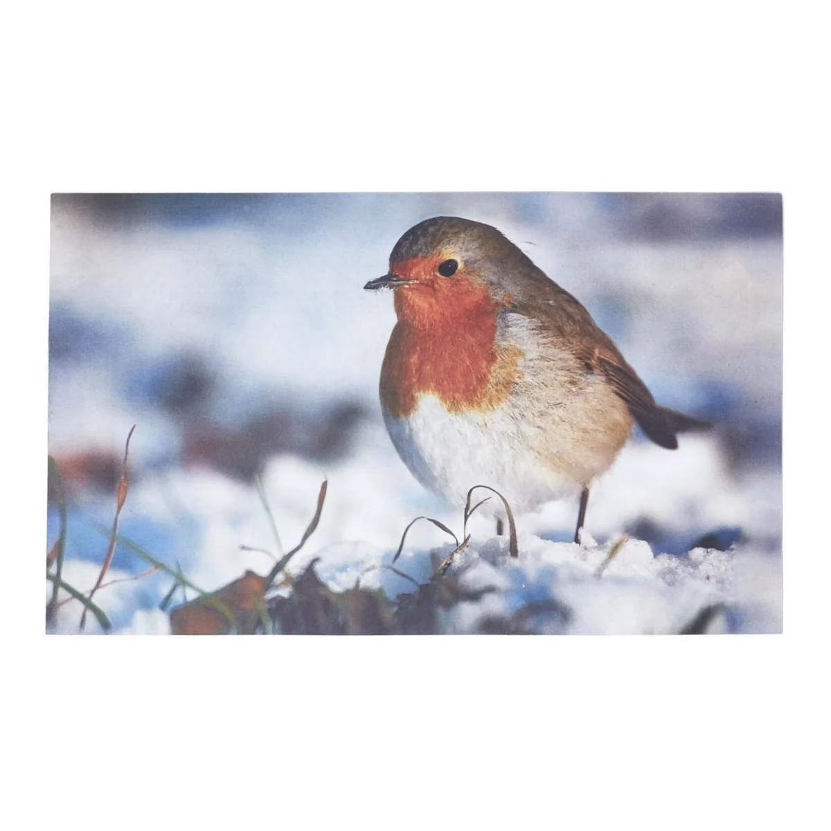 Recycled Rubber Printed Winter Robin Doormat - Multi – image 1
