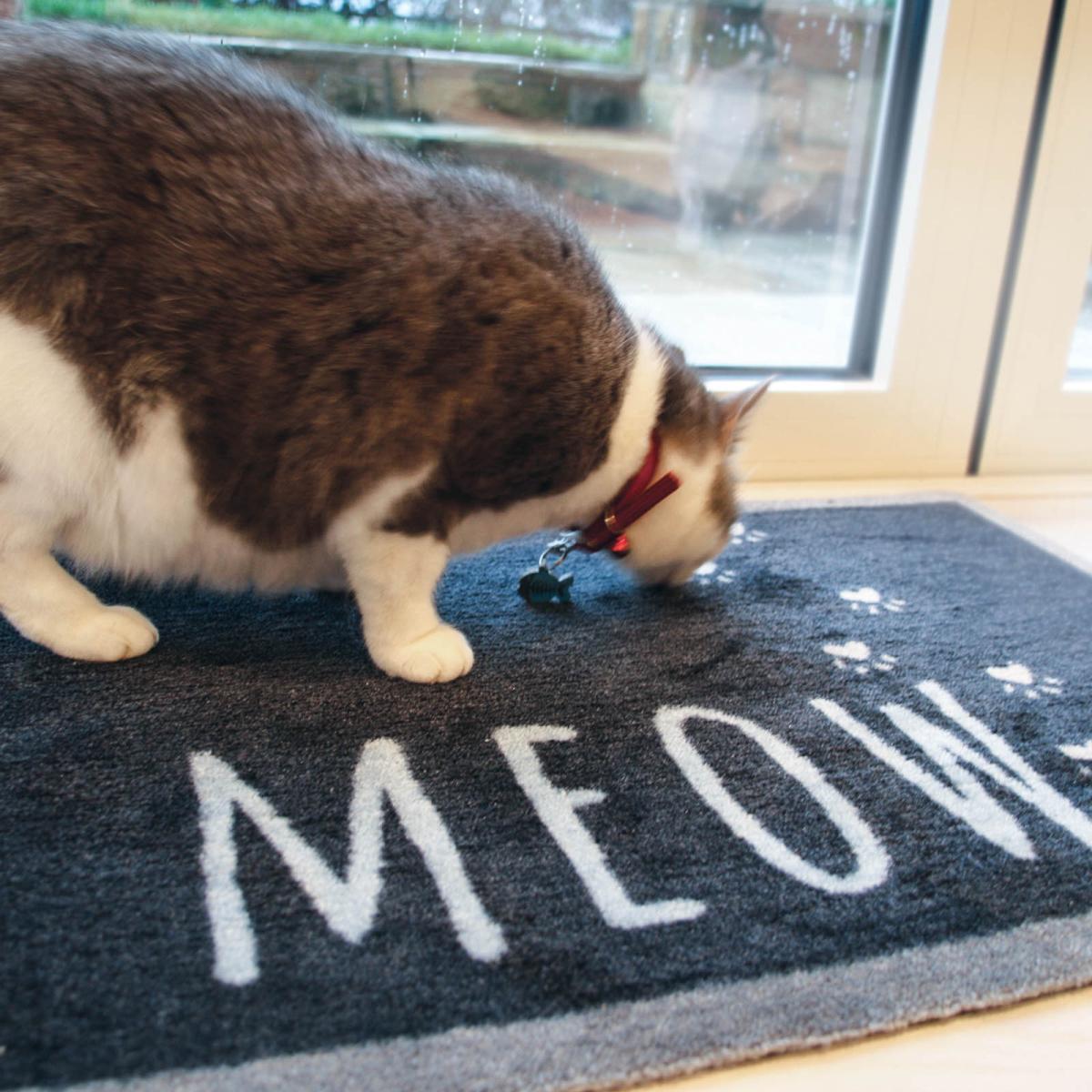 Meow Mats 2 by Howler & Scratch – image 2