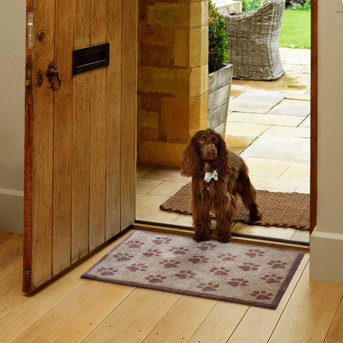Paws Doormats in Brown by Turtlemat – image 2