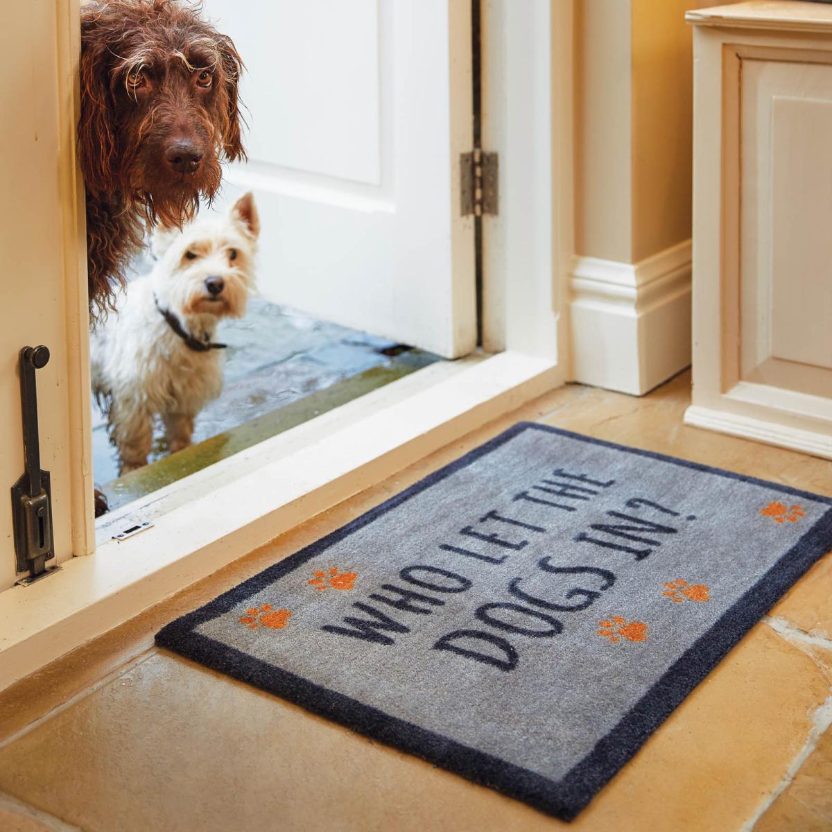 Howler & Scratch Dogs In Mats 2 in Blue – image 1